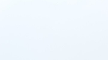 Los gatos con una dieta vegana son más saludables que los carniveros, según una investigación