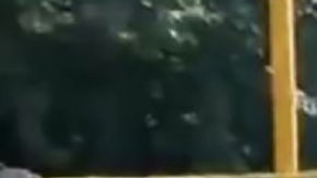 Balacera en escuela de México