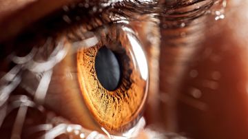La inteligencia artificial podrá ayudar a detectar enfermedades oculares
