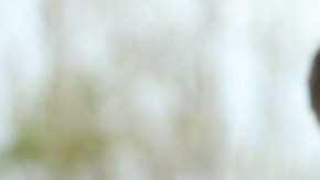 Cómo identificar si tu nueva pareja tiene personalidad narcisista