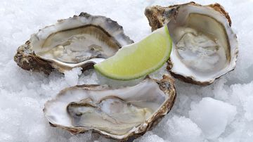 Un hombre en Texas murió luego de comer ostras infectadas con una bacteria: de qué se trata