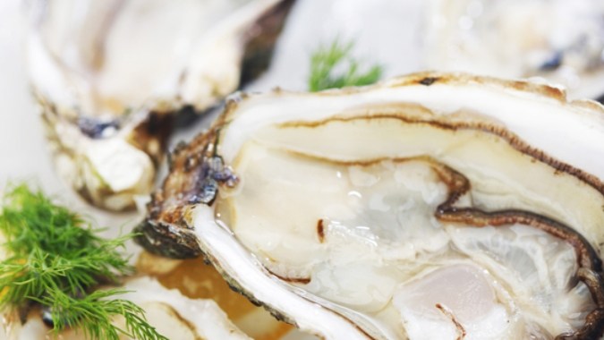 Un hombre en Texas murió luego de comer ostras infectadas: de qué se trata esta bacteria