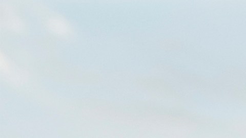 Signos que persiguen sus pasiones