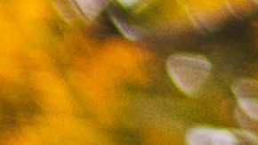 prosperidad septiembre