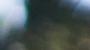 sorpresa en este año zodiaco