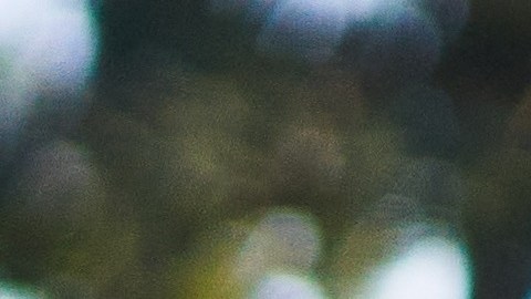 sorpresa en este año zodiaco