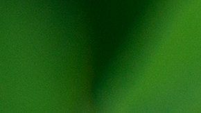 Signos suerte octubre