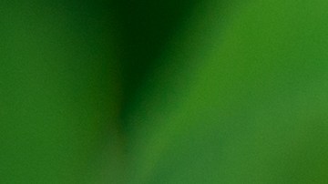 Signos suerte octubre