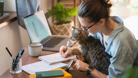 vida laboral y personal de los signos