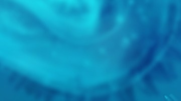 'Clade 9': la nueva variante del virus causante de la varicela detectada en la India