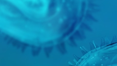 'Clade 9': la nueva variante del virus causante de la varicela detectada en la India