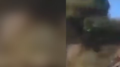 violencia en Zacatecas