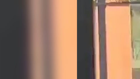 Violencia en Zacatecas