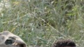 GETTY IMAGES Pie de foto, El ministro de Defensa de Israel, Yoav Gallant, se reunió con los soldados israelíes concentrados cerca de la frontera con Gaza.