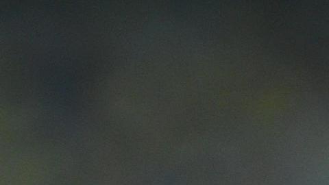 Neymar se perderá el resto de la temporada con Brasil y el Al Hilal.