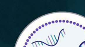 Premio Nobel de Medicina 2023: qué es el ARN mensajero por el que premiaron a Katalin Karikó y Drew Weissman