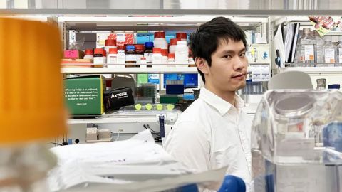 Cómo puede ayudar la inteligencia artificial en la búsqueda de la eterna juventud