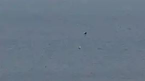 Putin critica entrega de misiles ATACMS a fuerzas ucranianas