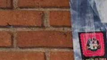 AMLO y Arévalo trabajarán "en bien" de México y Guatemala