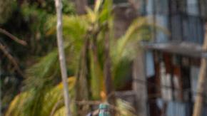 Aumentan a 48 los muertos tras devastación por el huracán Otis por México