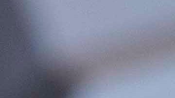 Una Jill Biden disfrazada de gata regala libros a los niños por Halloween en la Casa Blanca