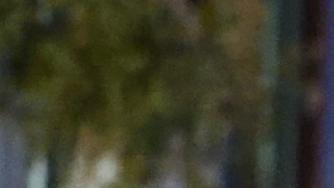 Cientos de policías buscan a Robert Card, principal sospechoso en el tiroteo de Maine