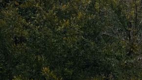 Al Sur de la Frontera