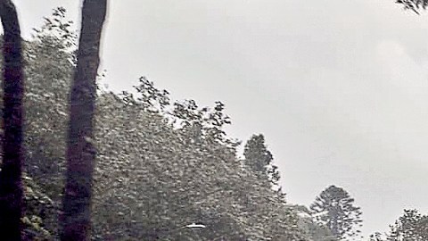 Tormenta tropical Pilar causa lluvias torrenciales y oleaje en el sureste de México