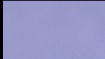 Alex González en los Premios Goya y Rosalía en el París Fashion Week.