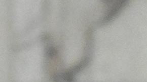 Donald Trump sigue liderando la carrera por convertirse en candidato republicano