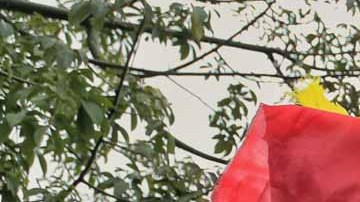 Familias ecuatorianas pondrán volverse a reunir en Estados Unidos