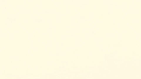 LOS ANGELES, CA - AUGUST 13: A man and woman (L) ride a shared dockless electric scooter next to bicycles along Venice Beach on August 13, 2018 in Los Angeles, California. Shared e-scooter startups Bird and Lime have rapidly expanded in the city. Some city residents complain the controversial e-scooters are dangerous for pedestrians and sometimes clog sidewalks. A Los Angeles Councilmember has proposed a ban on the scooters until regulations can be worked out. (Photo by Mario Tama/Getty Images)