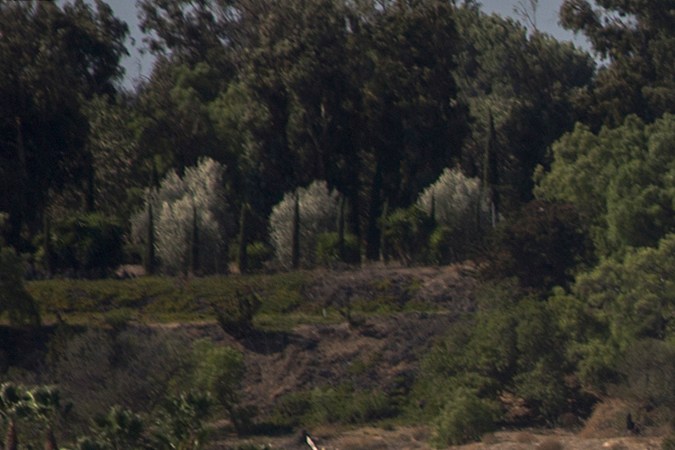 MALIBU, CA - NOVEMBER 09: Traffic jams the southbound lanes of Pacific Coast Highway as all of the city of Malibu is evacuated to flee advancing flames during the Woolsey Fire on November 9, 2018 in Malibu, California. About 75,000 homes have been evacuated in Los Angeles and Ventura counties due to two fires in the region. (Photo by David McNew/Getty Images)