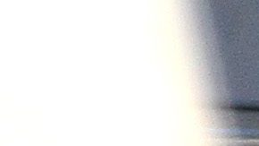 Hombre de Georgia comete infracción de tránsito y recibe multa de 1.4 millones