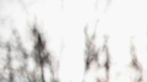 Hombre de Michigan que delataba a pedófilos en redes sociales fue asesinado a tiros en un restaurante