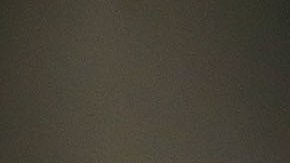 Oficiante de una boda en Nebraska hirió a su nieto tras disparar un arma para animar a los invitados