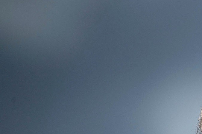 El expresidente Trump podría quedar fuera de la boleta electoral en Colorado.