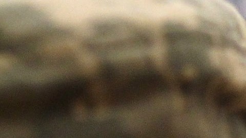 492 militares estadounidenses se suicidaron en 2022, según el Pentágono