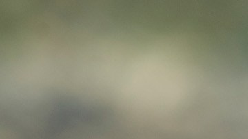 Su diagnóstico se dio a conocer meses a través de su libro de memorias titulado "Did I Ever Tell You This?"