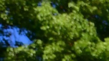 A for sale sign is seen near a house for sale in South Pasadena, California on April 24, 2020. - The coronavirus pandemic has worsened the US housing crisis as millions now unemployed must now figure out how to pay their monthly mortgages. (Photo by Frederic J. BROWN / AFP) (Photo by FREDERIC J. BROWN/AFP via Getty Images)