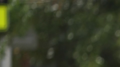 Arrestan a hispano que amenazó con bomba a colegio y sinagoga en Florida, mientras gritaba: "Soy Hamás"