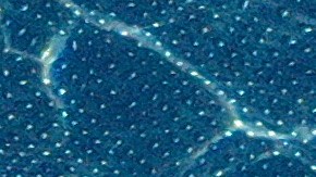 Dos niñas de un año se ahogaron en la piscina de una guardería en California