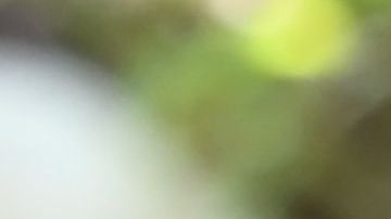 East College Prep High School senior Jocelyn Hernandez follows a remote Advanced Placement (AP) Calculus class while sitting in a community garden near her home, August 14, 2020 in the Boyle Heights neighborhood of Los Angeles, California. - Due to the continuing coronavirus pandemic all Los Angeles Unified School District (LAUSD) schools will be closed and students will return to class via remote learning when the 2020-21 school year starts on August 18, 2020. (Photo by Robyn Beck / AFP) (Photo by ROBYN BECK/AFP via Getty Images)