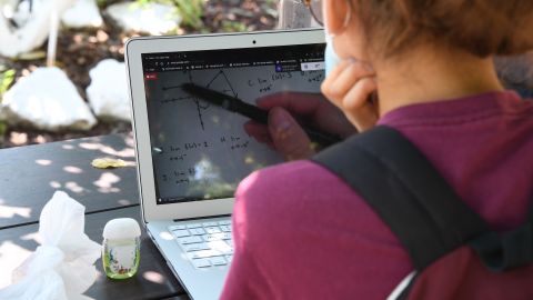 East College Prep High School senior Jocelyn Hernandez follows a remote Advanced Placement (AP) Calculus class while sitting in a community garden near her home, August 14, 2020 in the Boyle Heights neighborhood of Los Angeles, California. - Due to the continuing coronavirus pandemic all Los Angeles Unified School District (LAUSD) schools will be closed and students will return to class via remote learning when the 2020-21 school year starts on August 18, 2020. (Photo by Robyn Beck / AFP) (Photo by ROBYN BECK/AFP via Getty Images)
