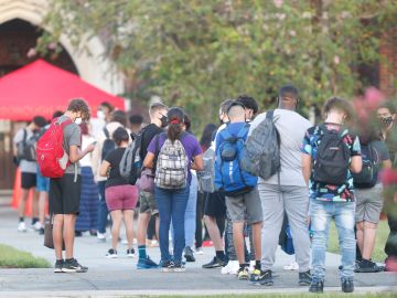 11 estudiantes detenidos tras pelea masiva en una escuela secundaria de Florida