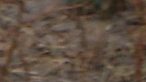 El desierto y las altas temperaturas hacen que El Paso sea una de las zonas fronterizas más peligrosas.