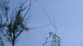 Biden construirá muro en Texas en la frontera con México, alerta organización ambiental