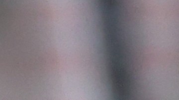 John Van't Schip venía de dirigir a la selección de Grecia en el 2019 y el 2021.