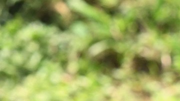 “Mi rancho se divide entre quienes están con el cartel y las víctimas”