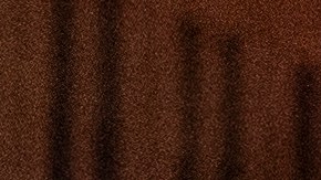 Hallan en un parque de aventuras en Colorado cuerpo de hombre armado, con explosivos y municiones